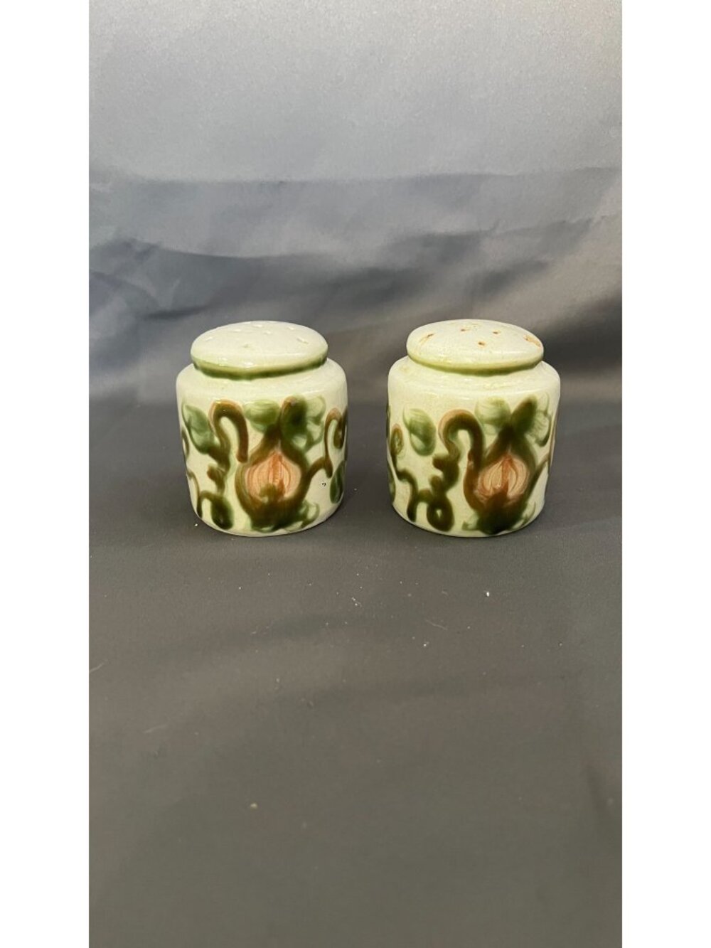 John B. Taylor Hand-Painted Ceramic Salt & Pepper Shakers With Floral Vines Desi